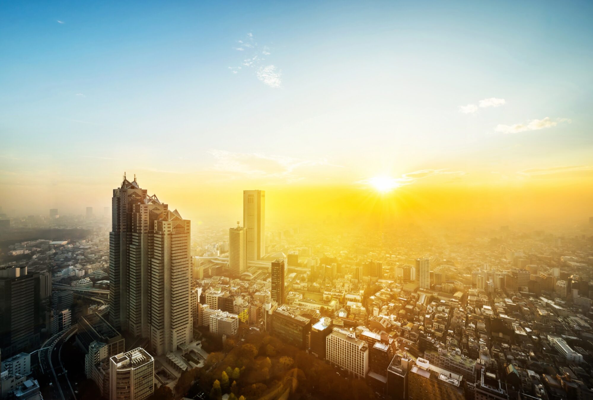 Discovering Shinjuku: Tokyo’s Most Desirable Neighborhood for Foreign Residents