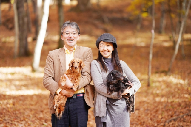 今のままの保険では損をする？ 50歳以降に本当に入るべき“基本の保険”の選び方